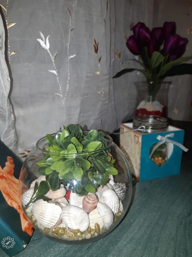 Sweet Home Danube Liman Apartment Novi Sad Ngoại thất bức ảnh