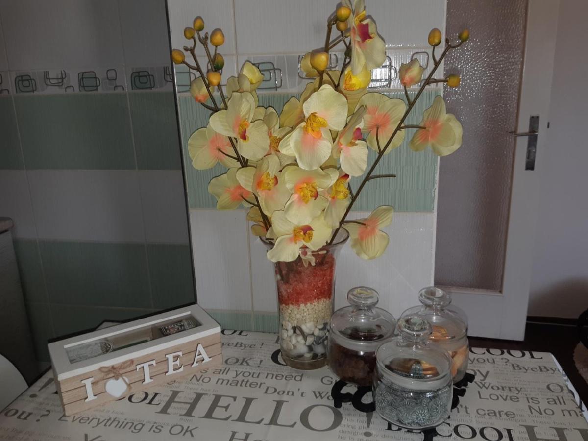 Sweet Home Danube Liman Apartment Novi Sad Ngoại thất bức ảnh